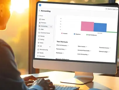 ERPNext Software