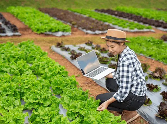 Farm & Crop Management